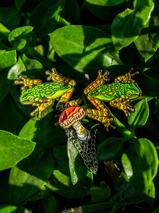Pines Ranas y Hongo Alucin